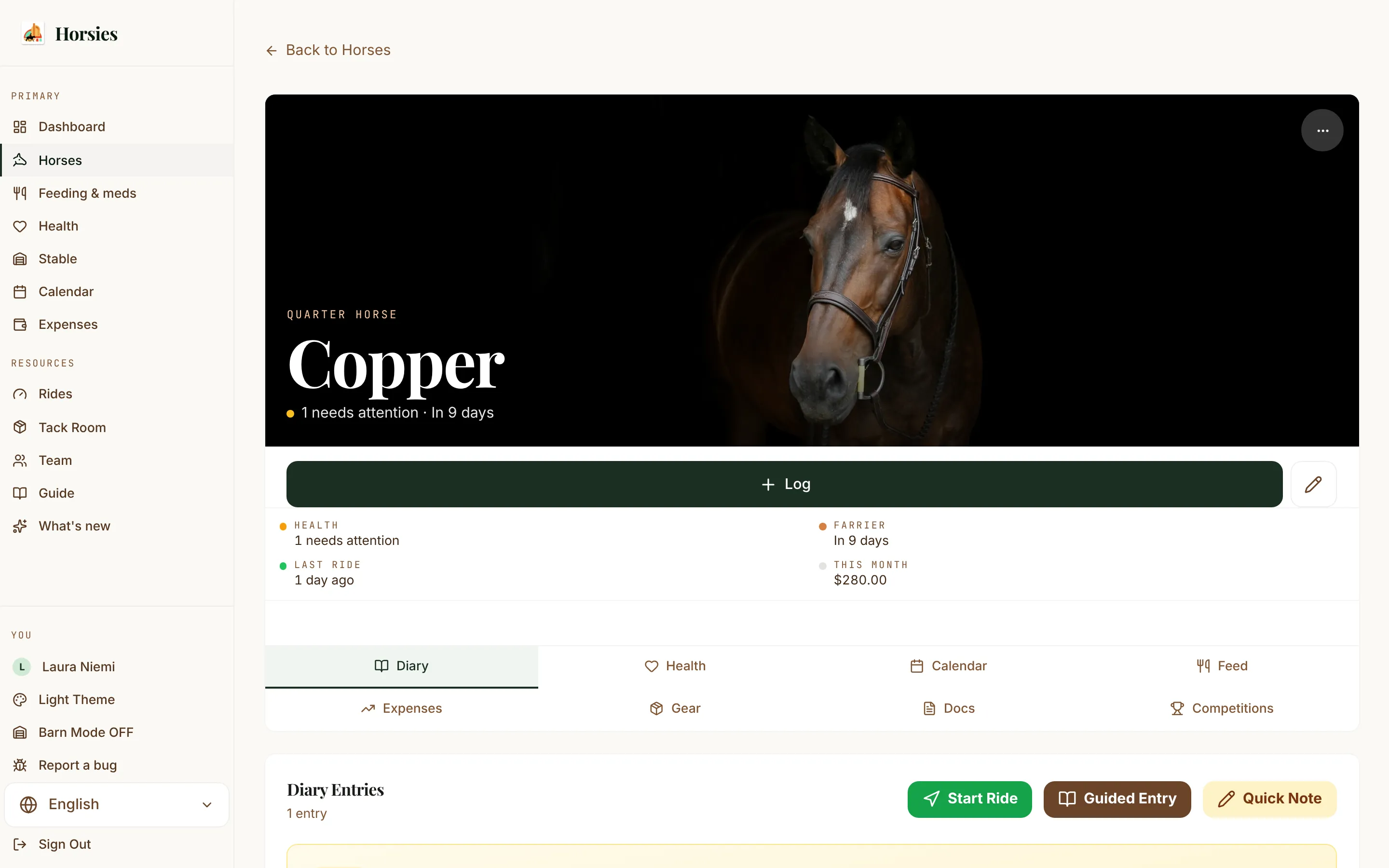 A horse's profile in Horsies on a laptop: its details, health summary and recent entries.