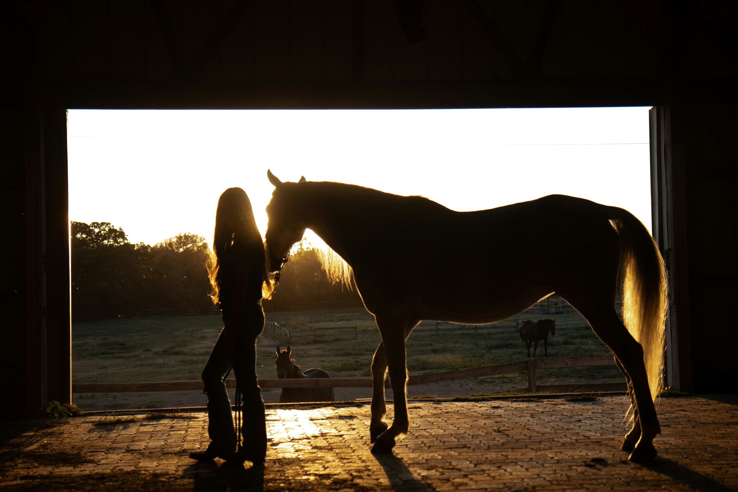 A woman beside her horse in a stable, in silhouette against the light from the doorway.